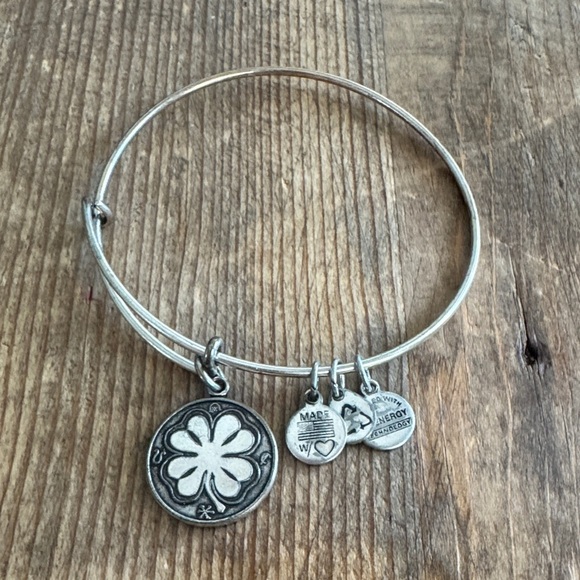 Alex and Ani Silver Energy Charm Bracelet - Picture 2 of 4